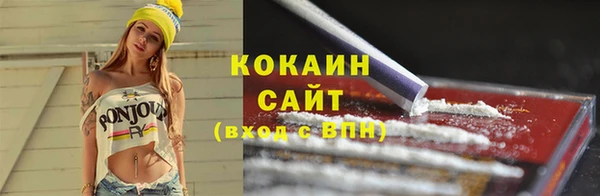 соль ск Абаза