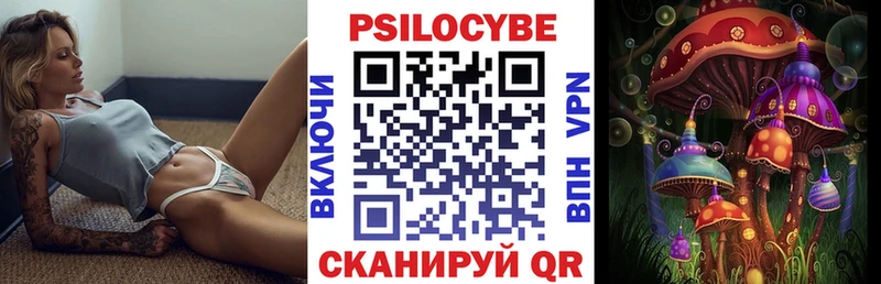 hydra ССЫЛКА Горбатов Галлюциногенные грибы мицелий